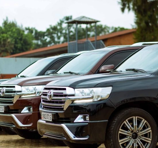 WhatsApp Image 2025-10-08 at 08.16.07_a38b785c