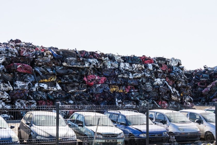 WhatsApp Image 2025-10-08 at 08.16.10_efdaaf2e