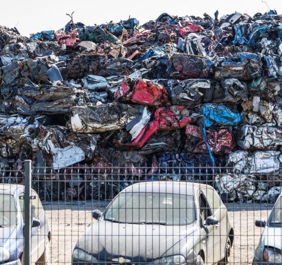 WhatsApp Image 2025-10-08 at 08.16.11_3051fc16