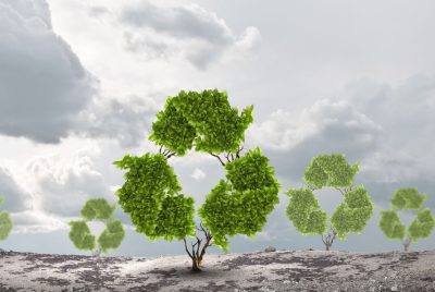 WhatsApp Image 2025-10-08 at 08.16.12_d70b62bb