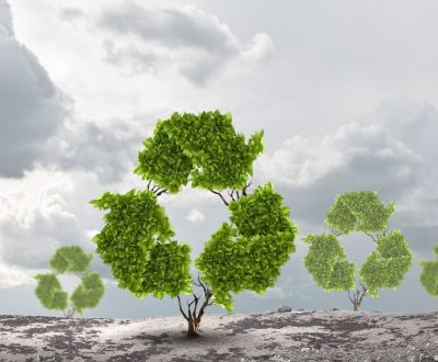 WhatsApp Image 2025-10-08 at 08.16.12_d70b62bb