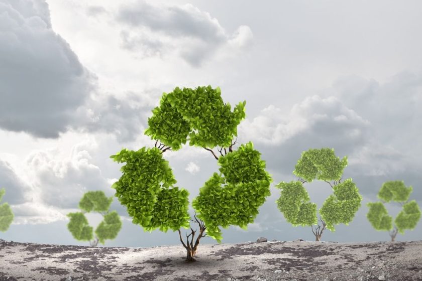 WhatsApp Image 2025-10-08 at 08.16.12_d70b62bb