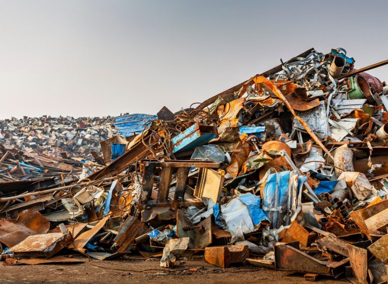 WhatsApp Image 2025-10-08 at 08.16.14_797a7a26