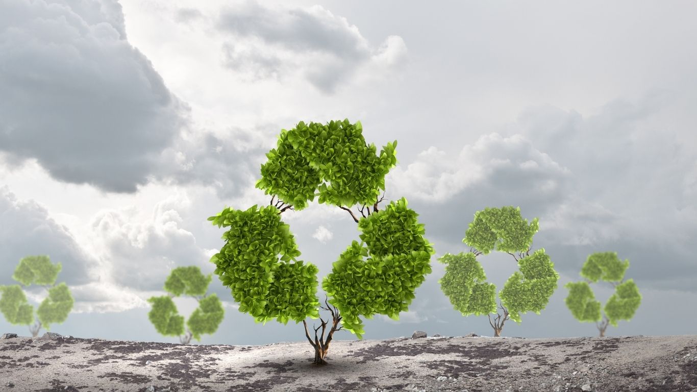 WhatsApp Image 2025-10-08 at 08.16.12_d70b62bb