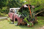 bluesnap-vintage-car-2851452_1920