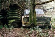 A picture of a derelict and abandoned car in a forest under sunlight in Belgium